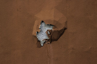 Close-up of damaged orange wall