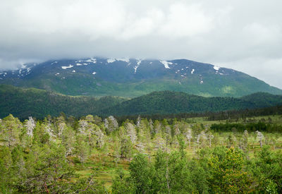 Scenic view of landscape against sky