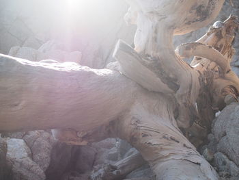 High angle view of rocks