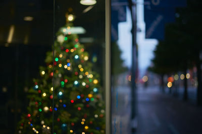 Illuminated christmas tree at night