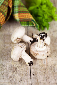 Close-up of mushrooms