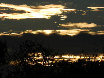 Silhouette trees against dramatic sky during sunset