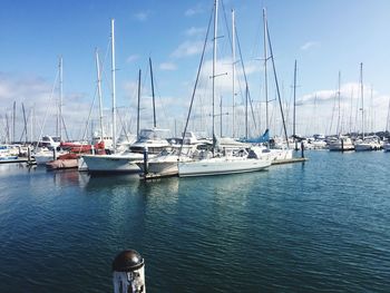 Boats moored at harbor