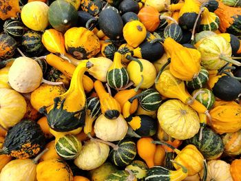 Full frame shot of pumpkins for sale in market