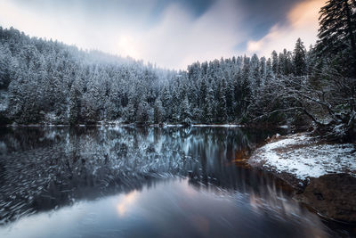 Winter sunset view of serene lake in the black forest, trees reflecting in the water, germany