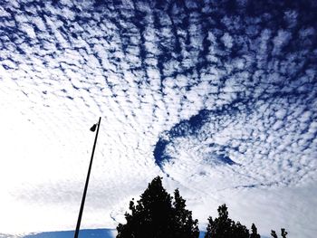 Low angle view of silhouette trees against blue sky