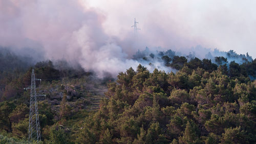 Panoramic shot of trees on landscape against sky