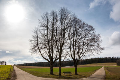 Bare tree by road against sky