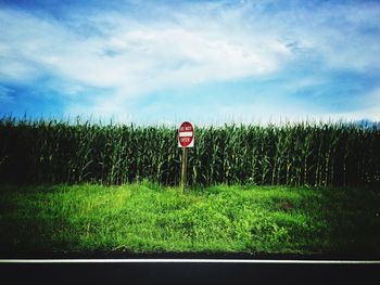 Road sign on field against sky