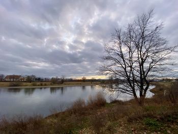 Bare trees by lake against sky