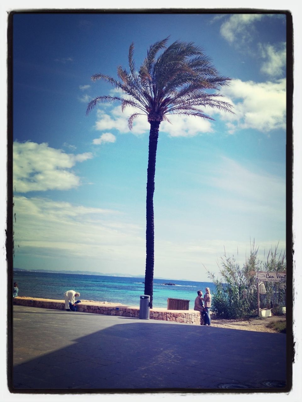 sky, sea, tree, palm tree, horizon over water, beach, water, cloud - sky, cloud, road, men, transportation, lifestyles, shore, leisure activity, nature, tree trunk, scenics