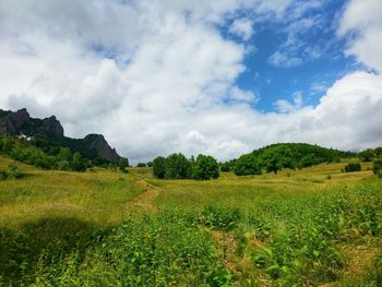 Scenic view of grassy field against cloudy sky