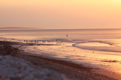 Scenic view of beach against sky during sunset