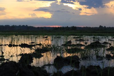 Scenic view of lake against sky during sunset