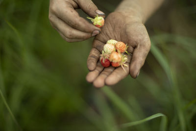 Berries on palm of child. wild berries in forest. strawberries in nature. baby's hands.