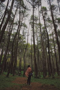 Side view of woman standing amidst trees in forest