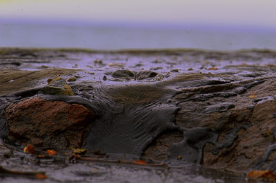 Close-up of rocks in water