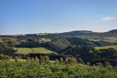 Scenic view of agricultural field against clear sky