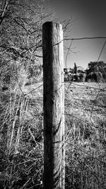 Close-up of wooden post