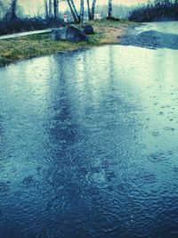 Close-up of wet tree