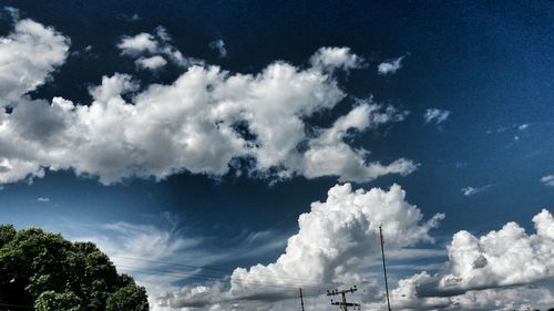 Low angle view of trees against sky