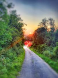 Empty road amidst trees on field against sky at sunset
