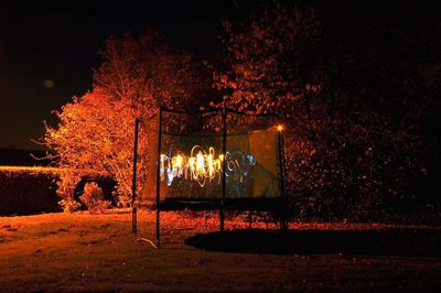 Illuminated tree at night