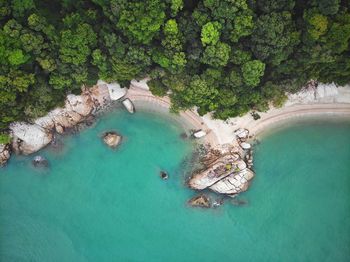 High angle view of trees by sea