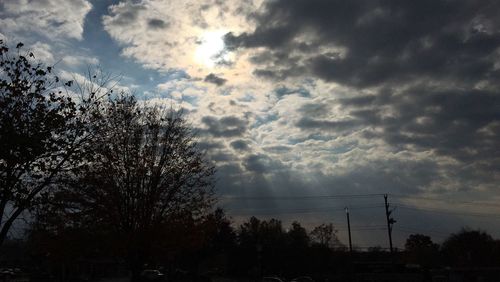 Low angle view of silhouette trees against sky