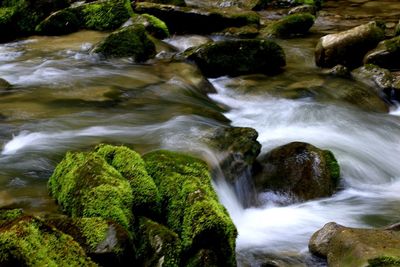 Scenic view of waterfall