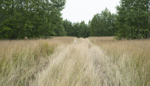 Scenic view of land against sky