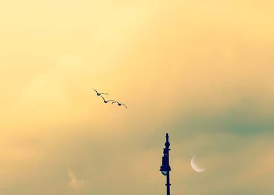 Low angle view of silhouette birds flying against sky during sunset