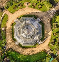 High angle view of plants on field