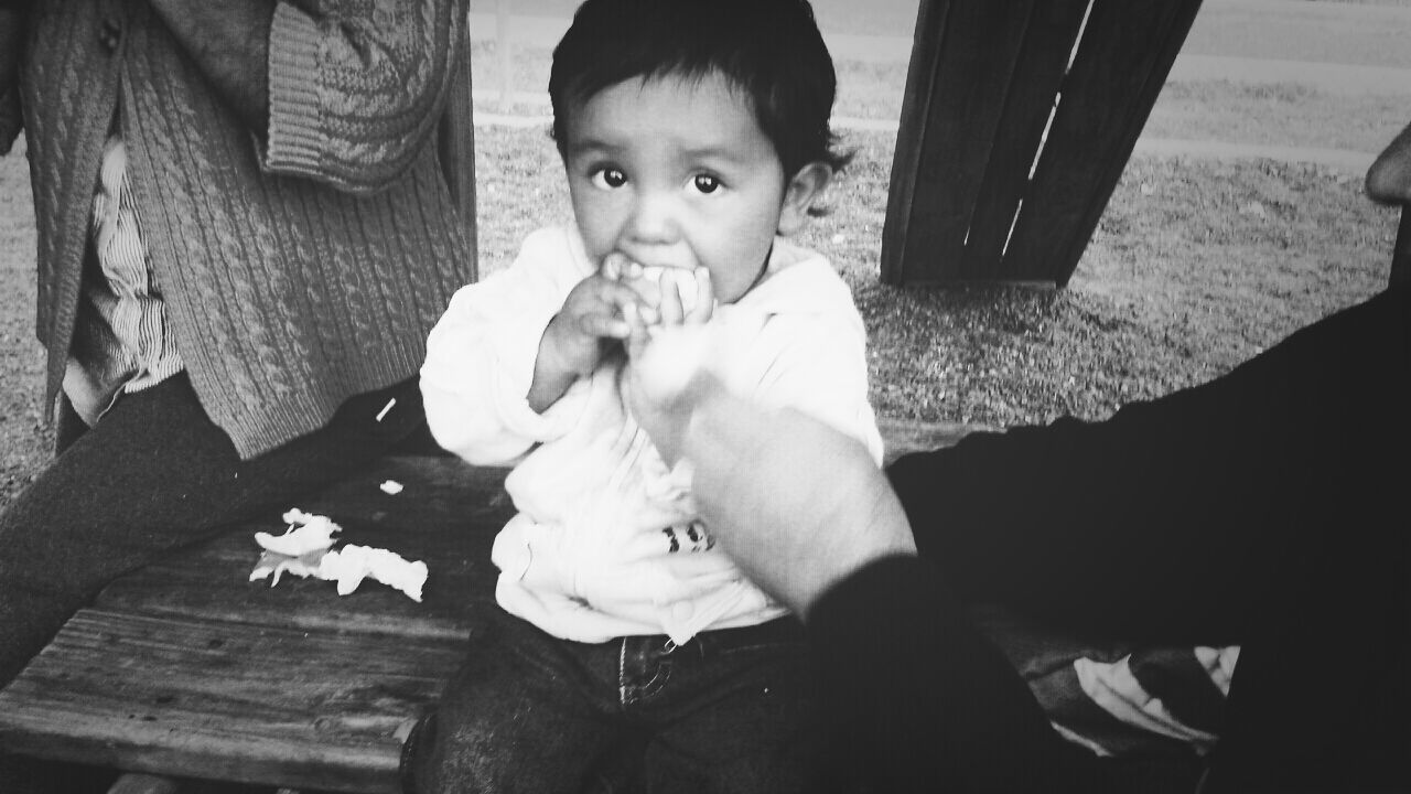 childhood, elementary age, innocence, person, cute, lifestyles, boys, indoors, casual clothing, girls, leisure activity, sitting, holding, toddler, portrait, baby, looking at camera, high angle view
