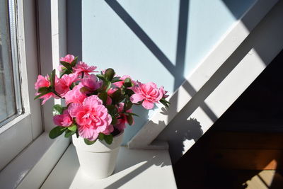 Close-up of pink flowers on windowsill