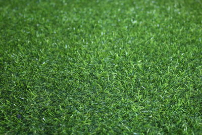 Full frame shot of soccer field