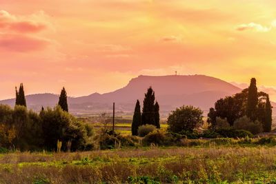 Scenic view of field against sky during sunset