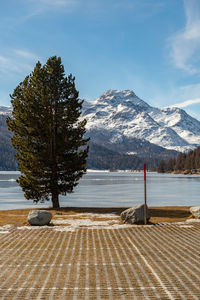 Silvaplana, switzerland, feb21, 2023 panorama at the lake of silvaplana and the mount corvatsch 
