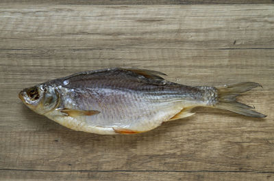 Close-up of fish on wood