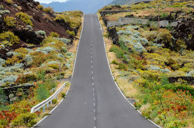 Road amidst trees and mountains during autumn