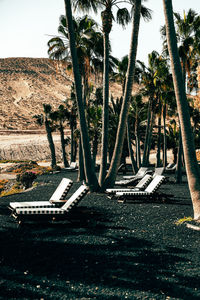 View of beach chairs on black lava in fuerteventura, spain