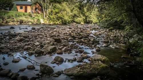 River flowing through rocks in forest