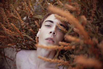 Close-up of man lying on plants