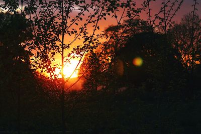 Close-up of silhouette trees against sky during sunset