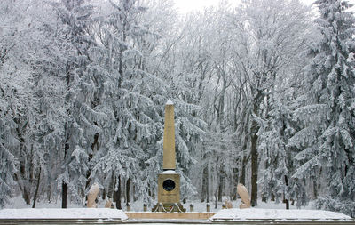 Snow covered trees
