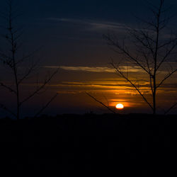 Silhouette bare trees against sky during sunset