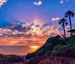 Scenic view of beach against sky during sunset