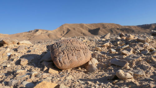 Sumerian tablet in the desert 