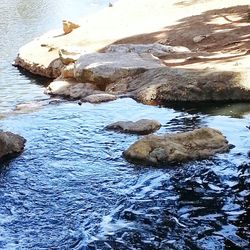 Rocks in water