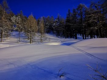 Trees on snow covered field against sky